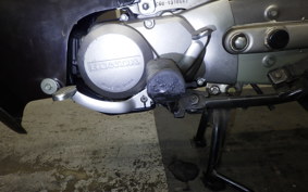 HONDA LITTLE CUB 2020 C50