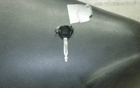 HONDA LEAD 110 2025 JF19