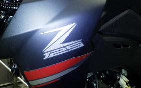 KAWASAKI Z125 PRO BR125H