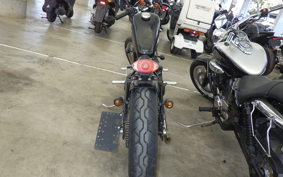 OTHER +UNREGISTERED MODEL by BDS250