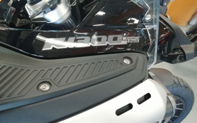 BMW R1300GS Adventure ASA 2025 0M31