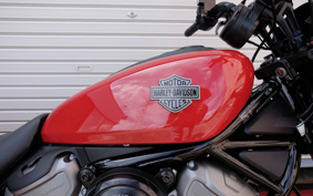 HARLEY HARLEY RH975 NIGHT  STAR 2024 ZH1