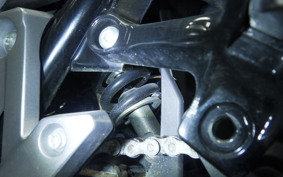 SUZUKI Vｽﾄﾛｰﾑ250 2010