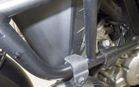 SUZUKI DL650 ( V-Strom 650 ) A 2019 C733A