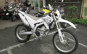 YAMAHA WR250R 2007 DG15J