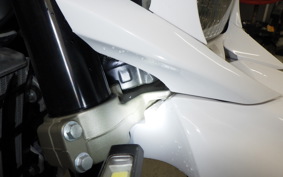 YAMAHA WR250X 2020 DG15J