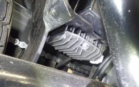 KAWASAKI Z900 2024 Z1F