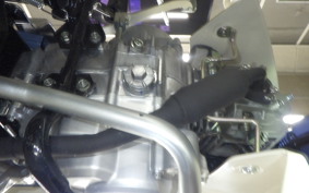 HONDA C50 SUPER CUB 2019 AA09