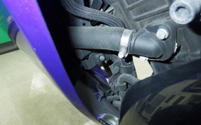 YAMAHA YZF-R25 A RG43J