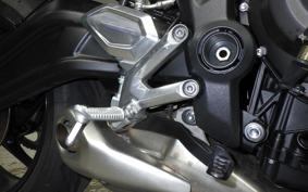 TRIUMPH TRIDENT 660 2023