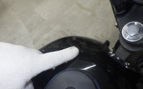 KAWASAKI W175 SE 1996