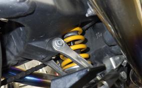 KAWASAKI ZX 1400 NINJA R A 2020