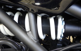 KAWASAKI Z900RS CAFE 2025 ZR900K