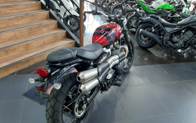 TRIUMPH  TRIUMPH  STREET  SCRAMBLER  2021 DAD78G