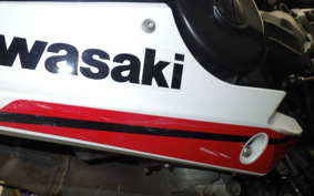 KAWASAKI NINJA 250 2 EX250P