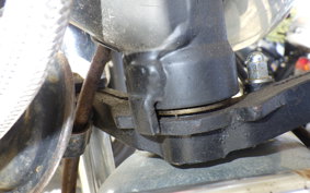 OTHER +UNREGISTERED MODEL by BDS125