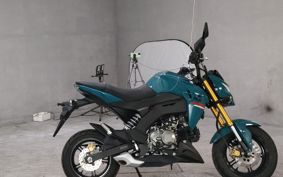 KAWASAKI Z125 PRO  BR125H