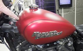 HARLEY FXBB1750 2019