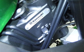 KAWASAKI NINJA1100SX SE 2025