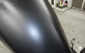 HONDA REBEL 250 S 2010 MC49
