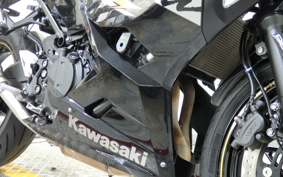 KAWASAKI NINJA 250 EX250P