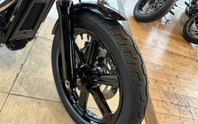 HARLEY FXST1340-1450 2023 BVJ