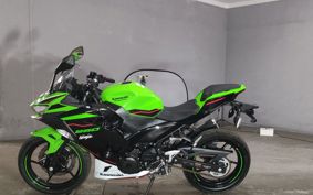 KAWASAKI NINJA 250 EX250P