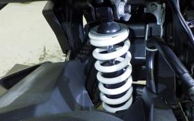 KAWASAKI Z250 SL BR250E