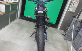 YAMAHA WR250X DG15J