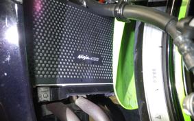 KAWASAKI NINJA 400 2021 EX400G