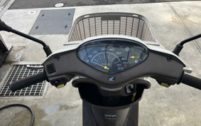 HONDA DIO CHESTER AF68