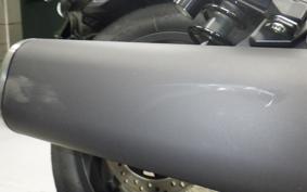 HONDA REBEL 1100 2024 SC83