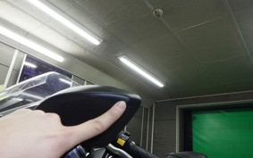 SUZUKI GSX250RA 2021