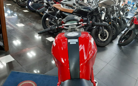 DUCATI  DUCATI  MONSTAR M696 PLUS  2009 ZDMM500AA9B