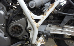 SUZUKI DJEBEL 250 2023 SJ44A