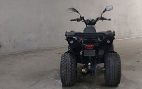 OTHER  BUGGY 50CC ..