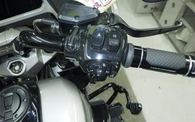 HARLEY FLTRXSE1980CVO 2024
