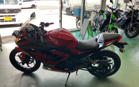 KAWASAKI NINJA 250 EX250L