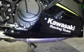 KAWASAKI NINJA 400 2018 EX400G