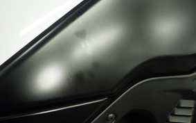 YAMAHA TENERE 700 2020 DM09J