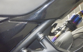 KAWASAKI NINJA 250 EX250P