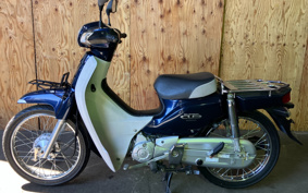 HONDA SUPER CUB110 JA10