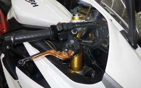 TRIUMPH DAYTONA 675 R 2015