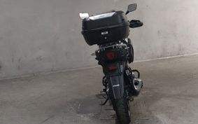 SUZUKI V-STROM 250 DS11A