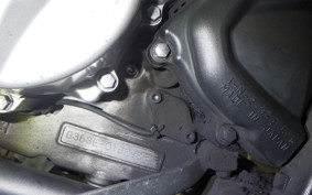 YAMAHA WR250X DG15J