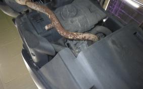 YAMAHA JOG Delux SA39J