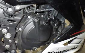KAWASAKI NINJA 250 2 EX250P