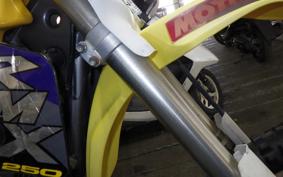 SUZUKI RMX250