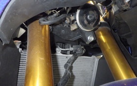 YAMAHA YZF-R25 A 2009 RG43J