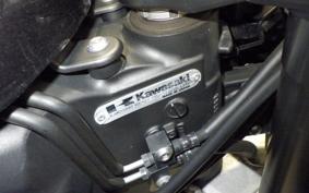 KAWASAKI NINJA 1000 A 2018